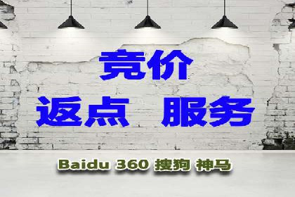 百度竞价排名实战：某电商平台的成功之路